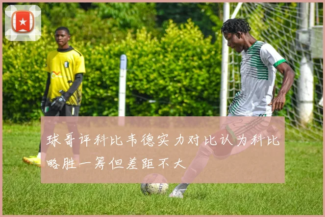 球哥评科比韦德实力对比认为科比略胜一筹但差距不大
