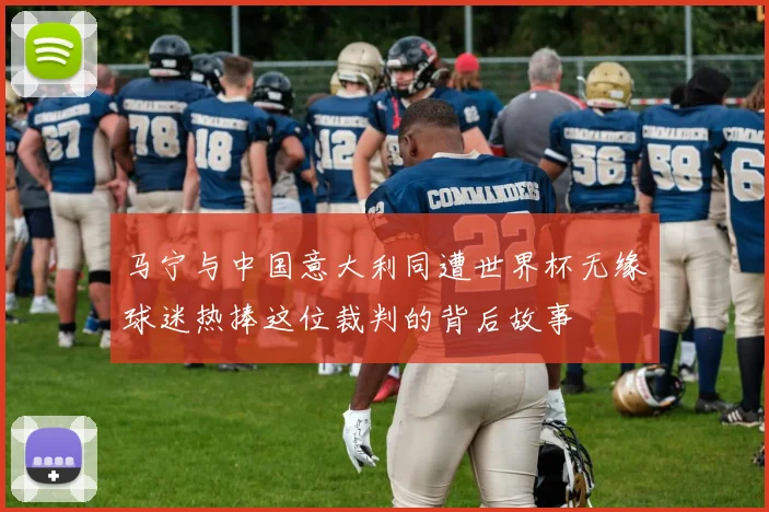 马宁与中国意大利同遭世界杯无缘球迷热捧这位裁判的背后故事